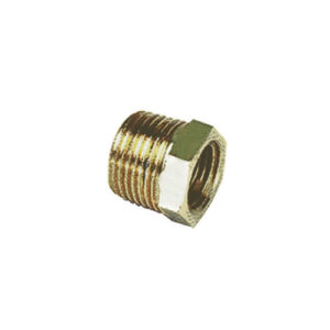 Legris 0163 Male to Female Reducer