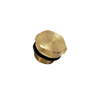 Legris 0220 Hexagon Head Plug