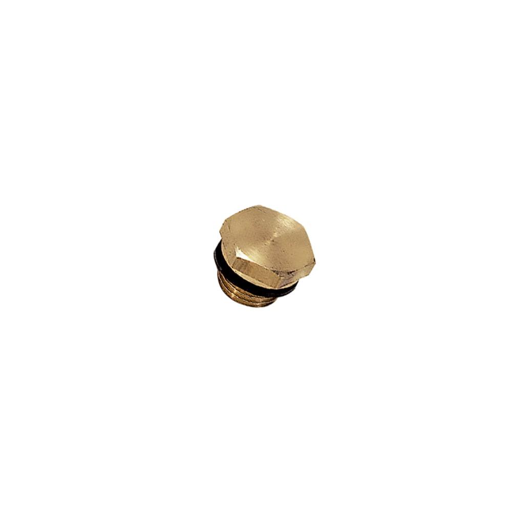 0220 17 00 — Brass Accessories for Compression Fittings — Hex head plug with captive sealing washer male — 17mm