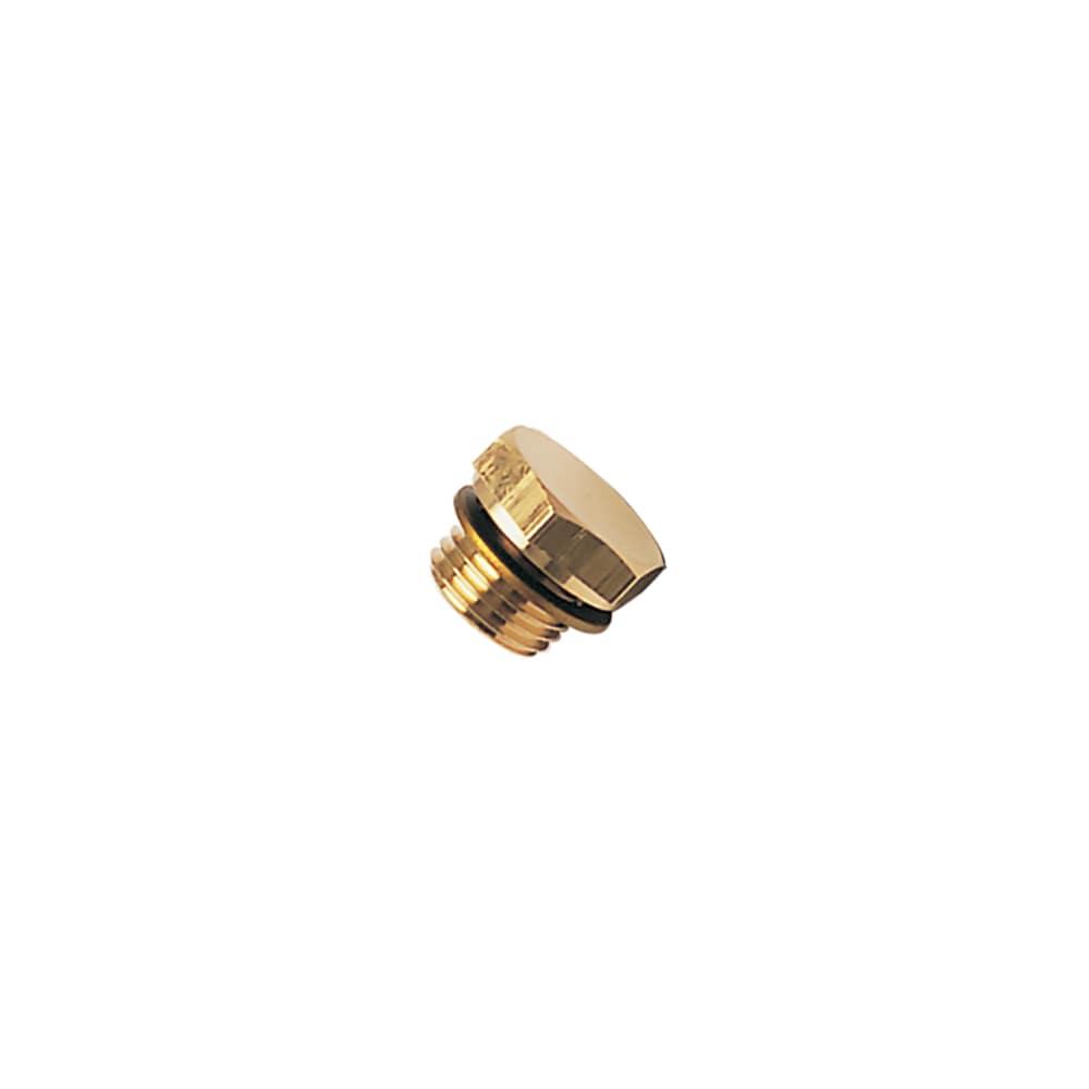 0220 21 00 39 — Brass Accessories for Compression Fittings — Hex head plug with bi-material sealing male — 21mm