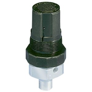 130-02CP — Relief Valves - 130 Series — 1/4 inch