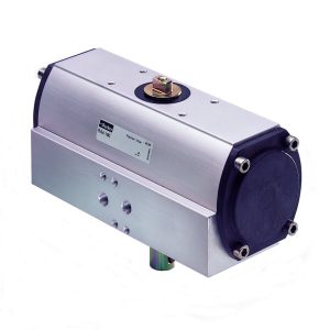 ROTARY ACTUATOR